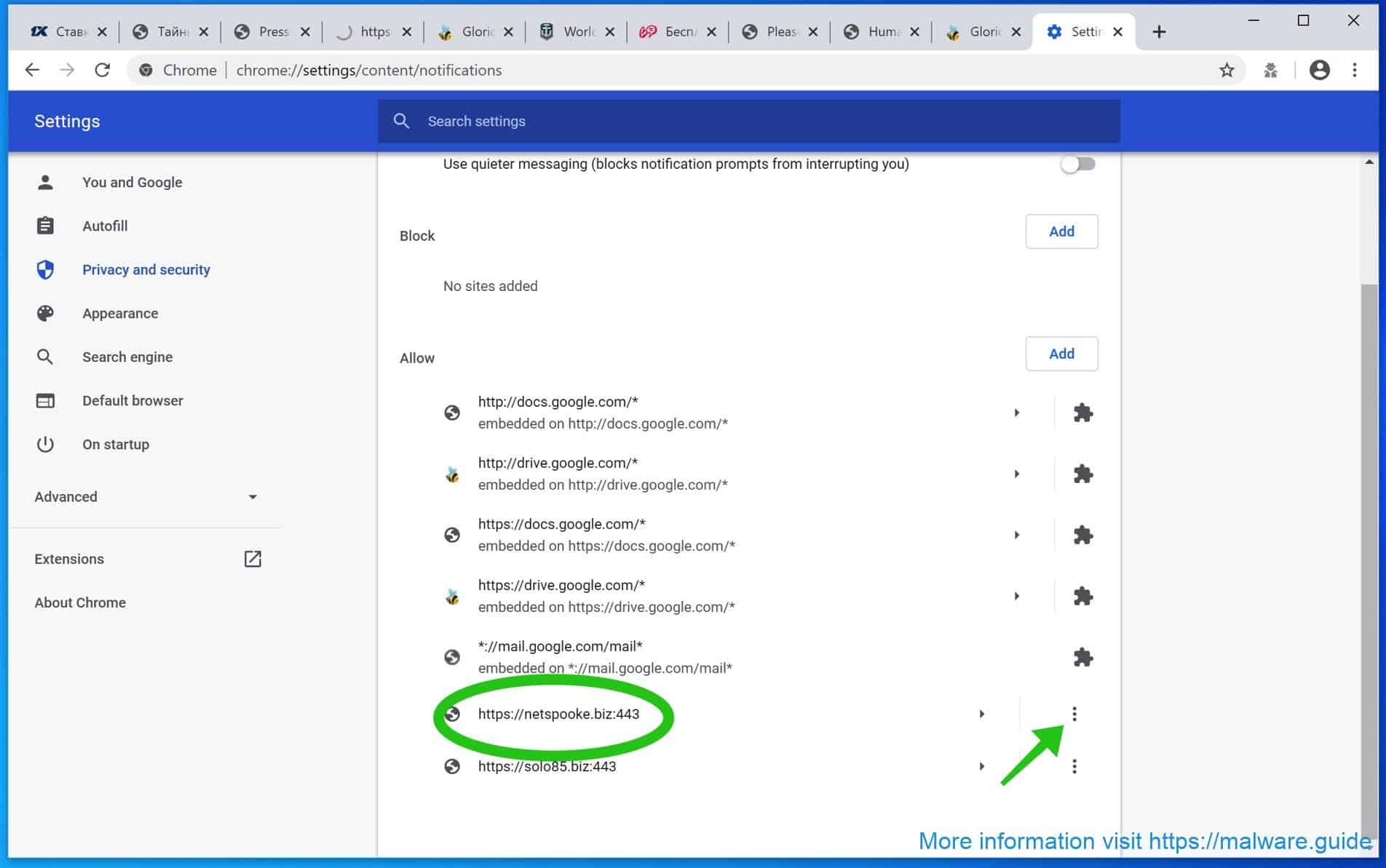 Netspooke.biz removal google chrome