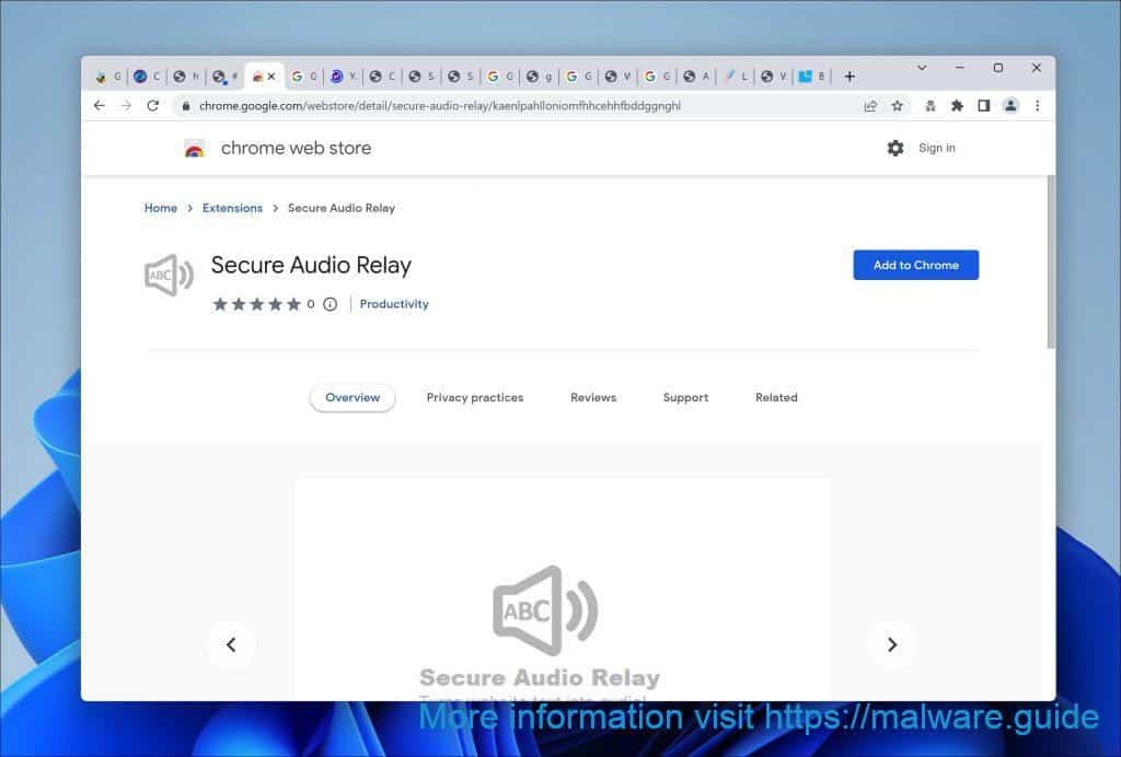 Secure Audio Relay