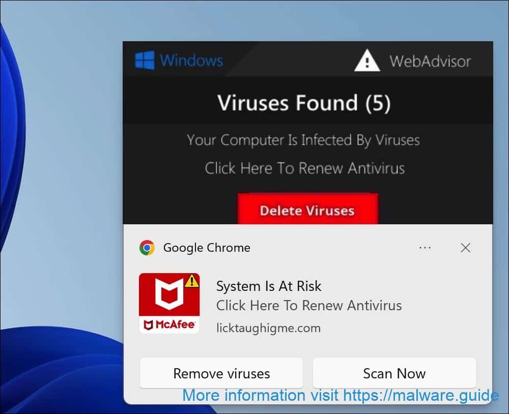 Viruses found 5
