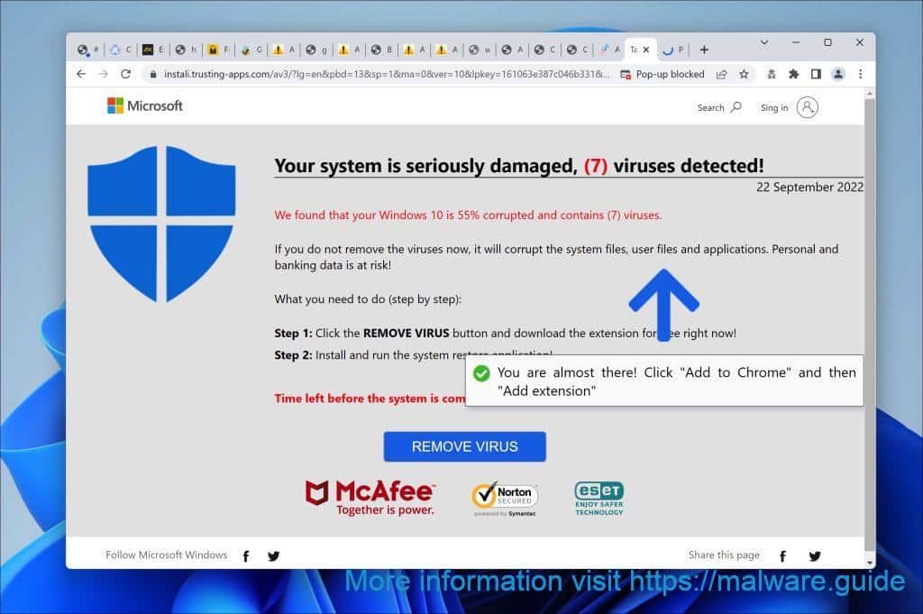 Your system is seriously damaged, 7 viruses detected