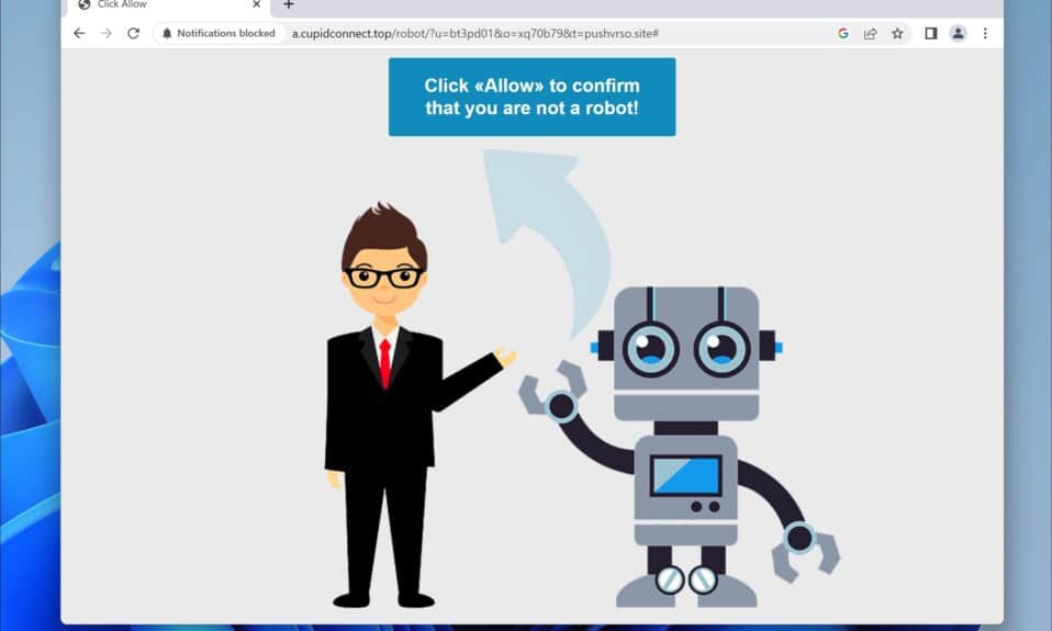 Cupidconnect.top